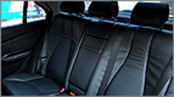 leather protection