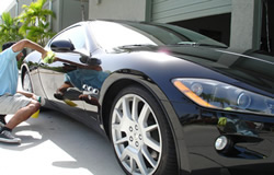 paint protection